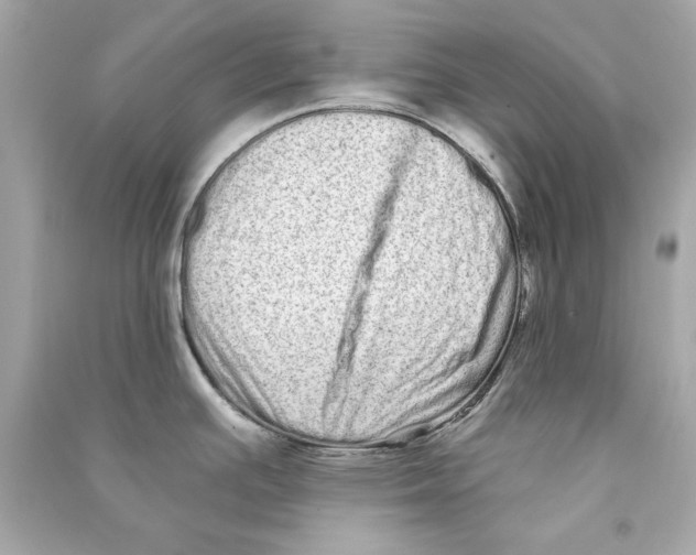 X0000090501391200708102231