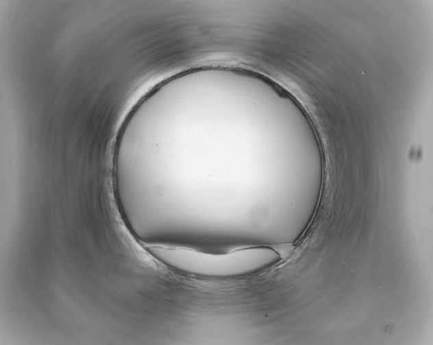 X0000090501392200708102231