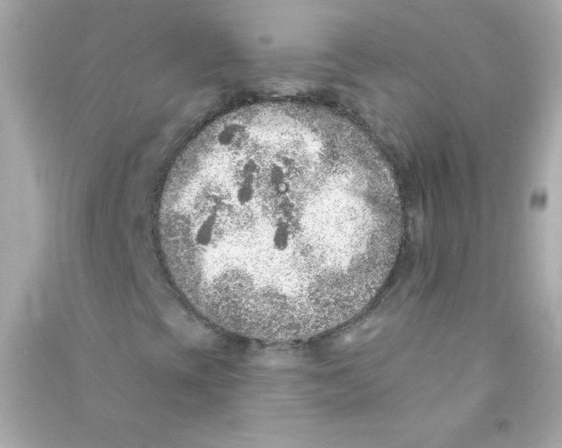 X0000090501393200708102230