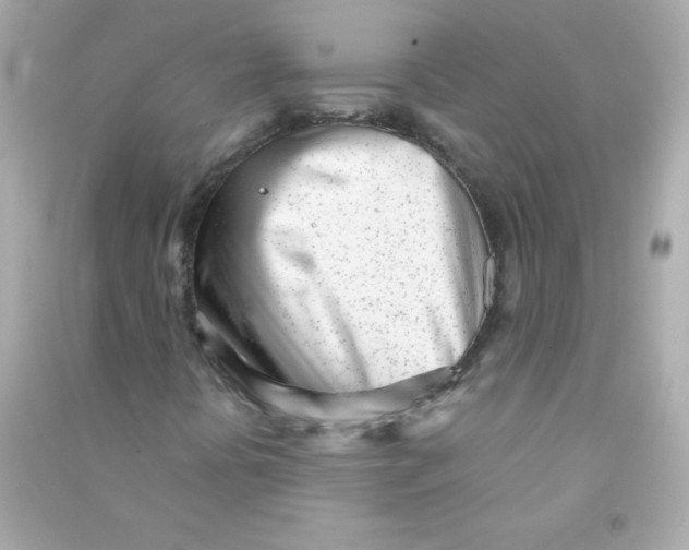 X0000090501394200708102230