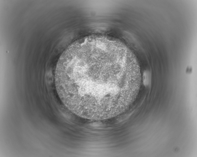 X0000090501395200708102230