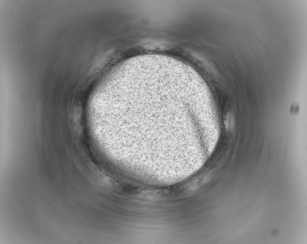 X0000090501396200708102230