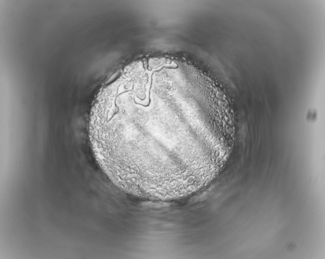 X0000090501397200708102230