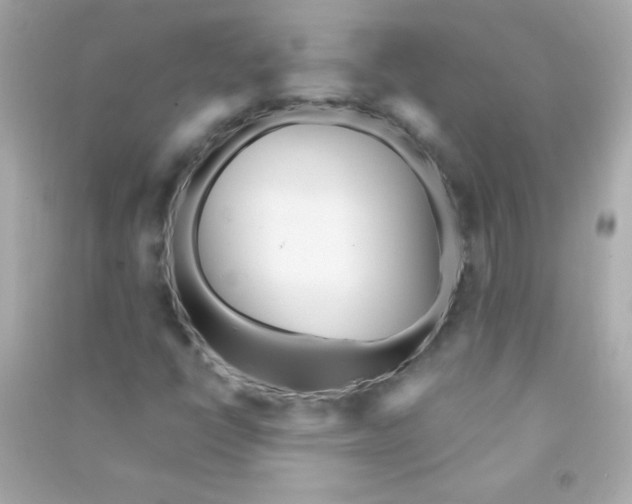 X0000090501398200708102230