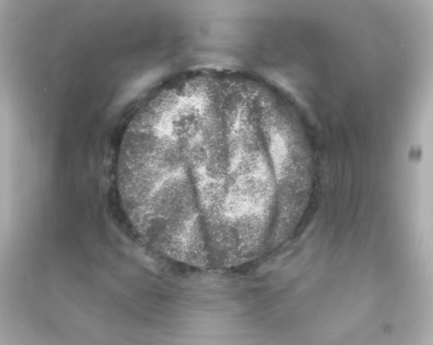 X0000090501399200708102230