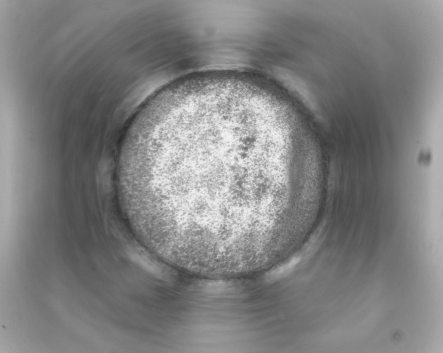 X0000090501401200708102230