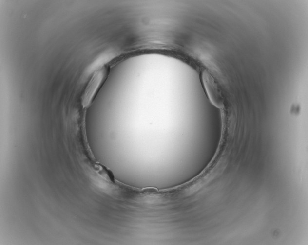 X0000090501402200708102230