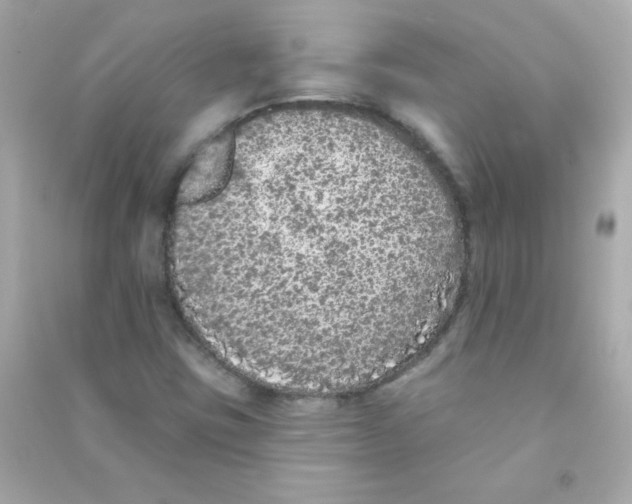 X0000090501403200708102230