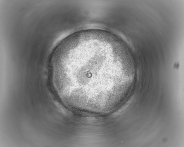 X0000090501405200708102230