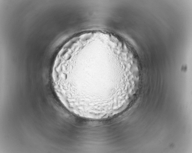 X0000090501407200708102230