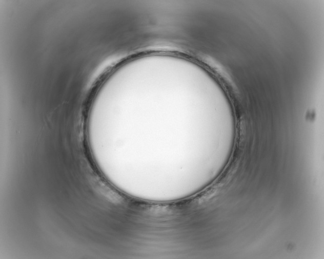 X0000090501408200708102230