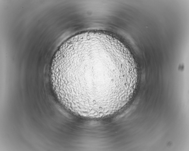 X0000090501409200708102230