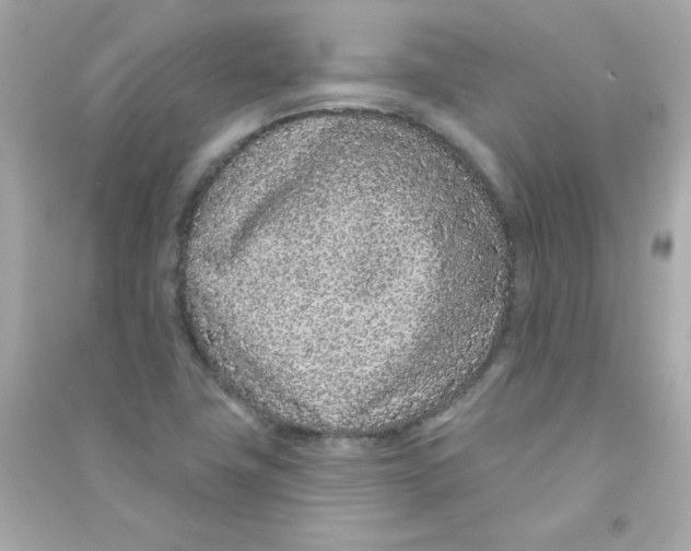 X0000090501411200708102230