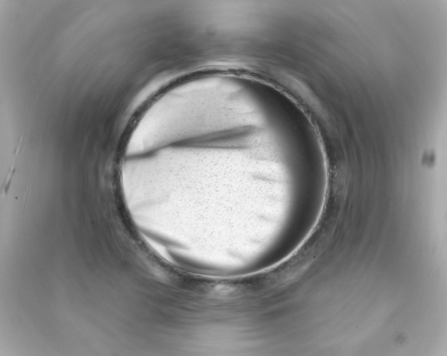 X0000090501412200708102230