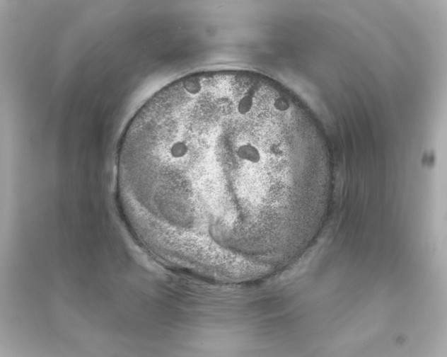 X0000090501413200708102231