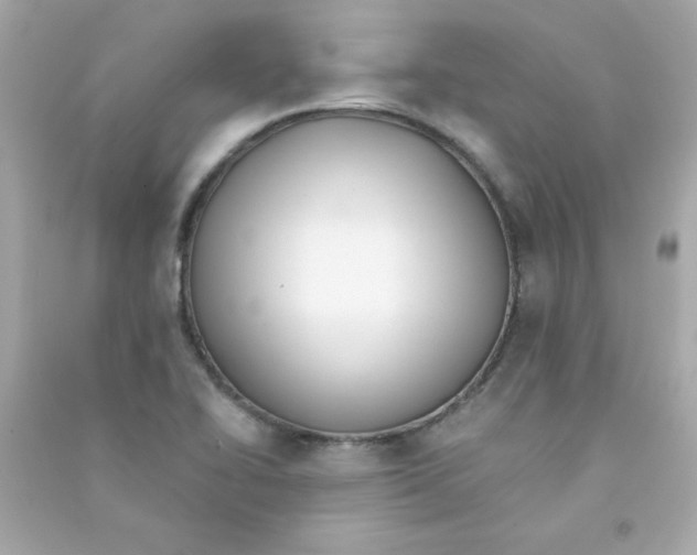 X0000090501414200708102231