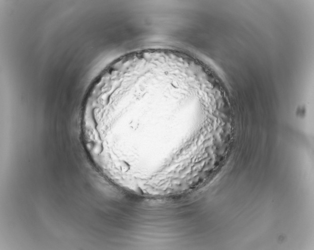 X0000090501415200708102231