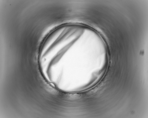 X0000090501416200708102231