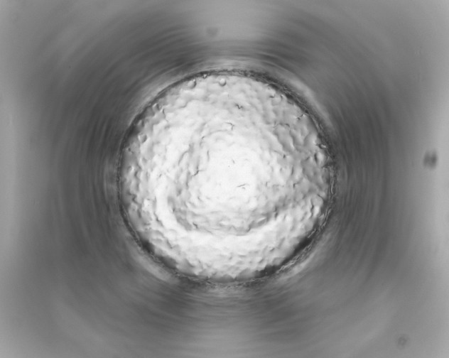 X0000090501417200708102231