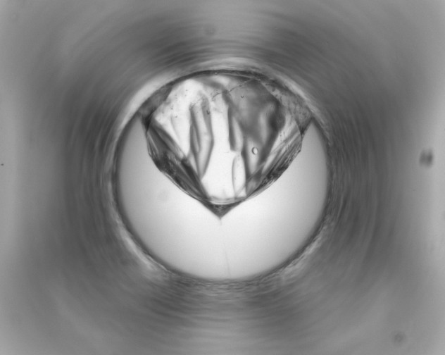 X0000090501418200708102231