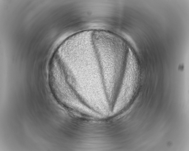 X0000090501419200708102231