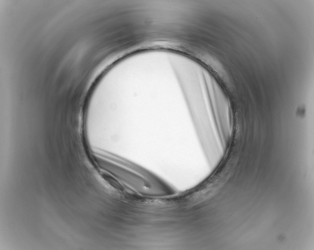 X0000090501420200708102231