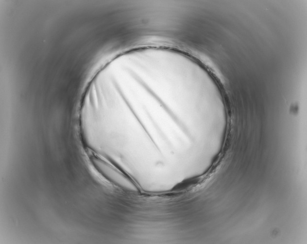 X0000090501421200708102231