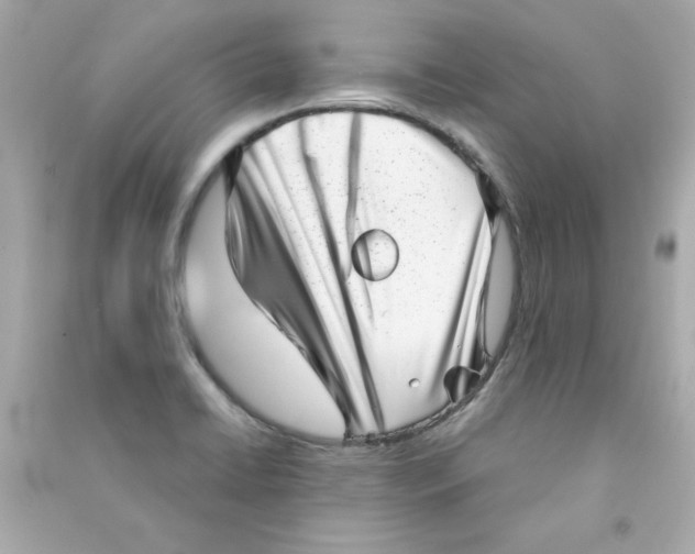 X0000090501422200708102231