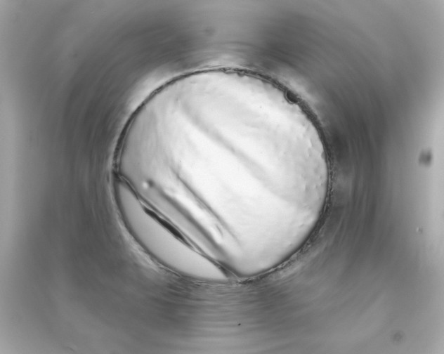 X0000090501423200708102231