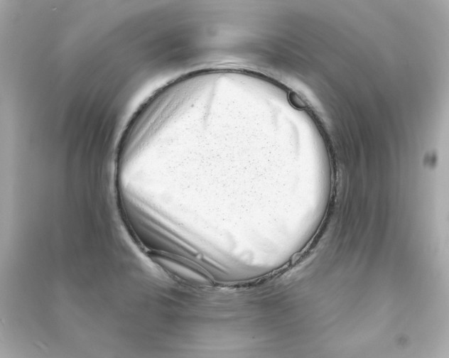 X0000090501424200708102231