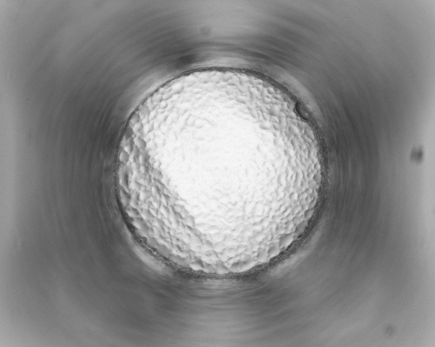 X0000090501425200708102231