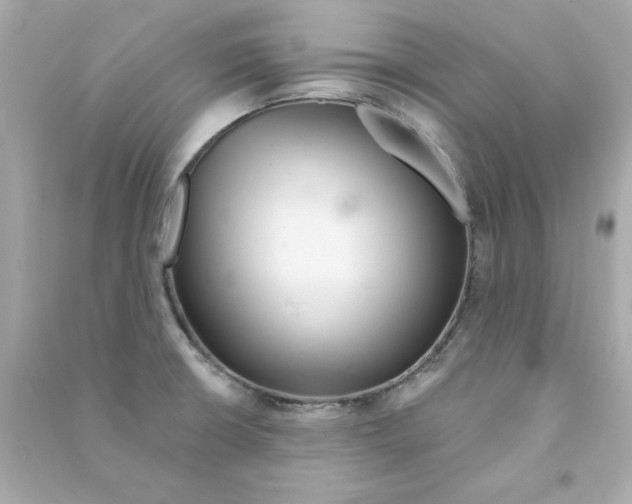 X0000090501426200708102231