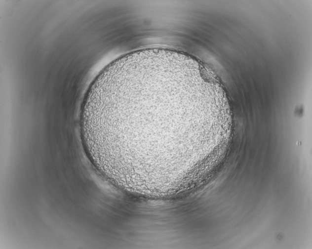 X0000090501427200708102231