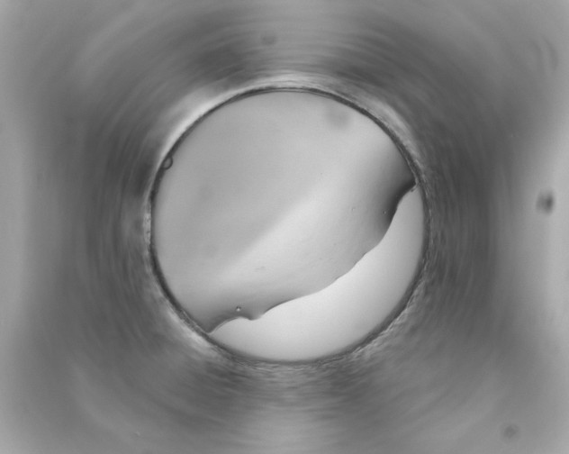 X0000090501428200708102231