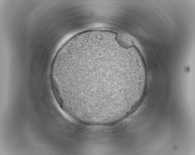 X0000090501429200708102231