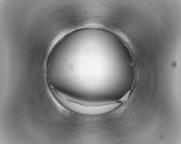 X0000090501430200708102231