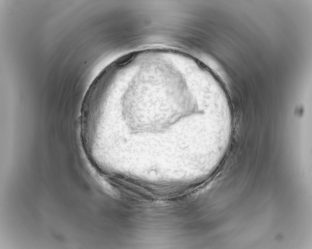 X0000090501431200708102231