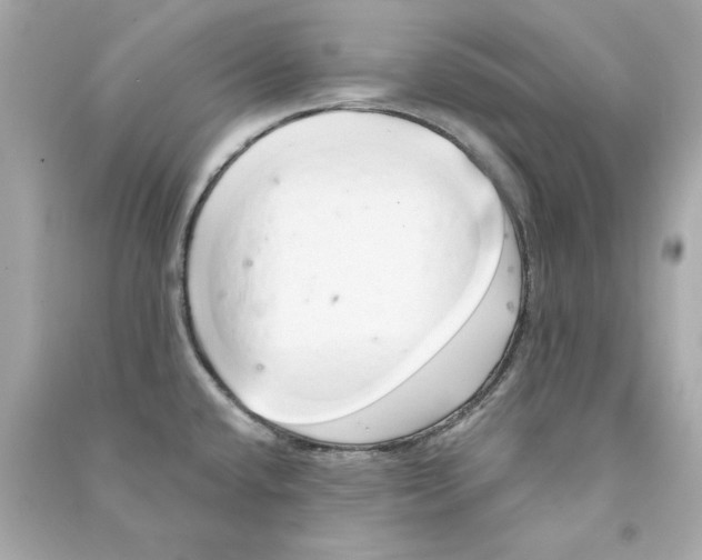 X0000090501432200708102231