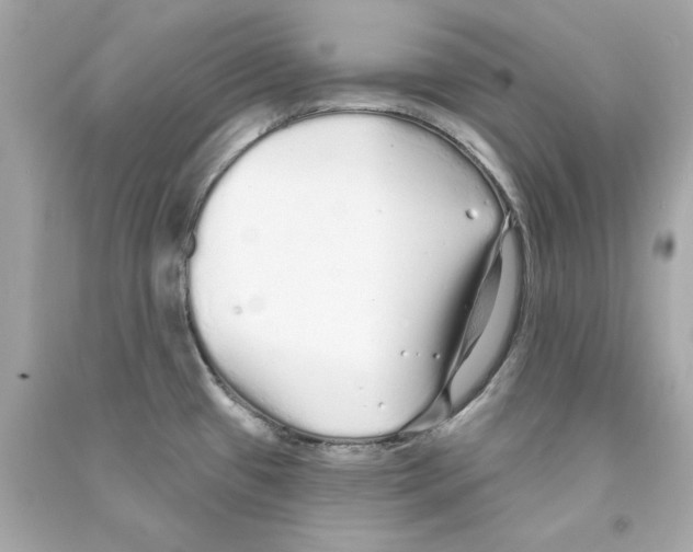 X0000090501433200708102231