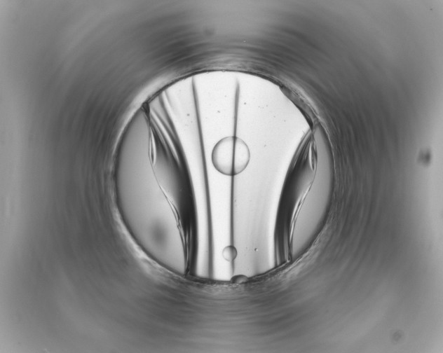 X0000090501434200708102231