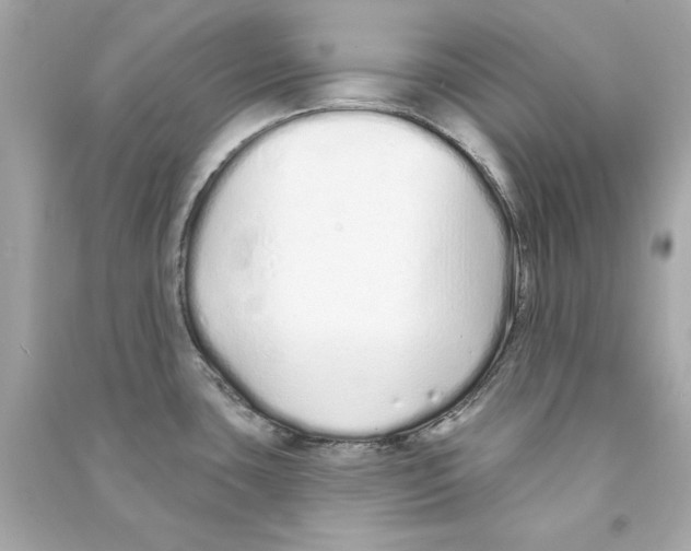 X0000090501435200708102231