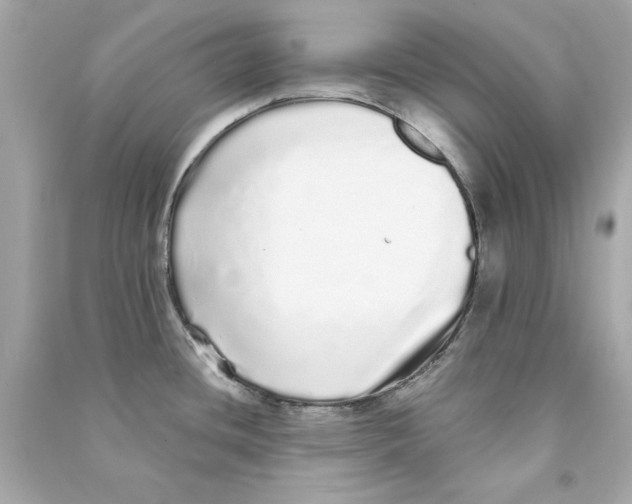 X0000090501436200708102231