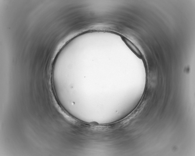 X0000090501437200708102231