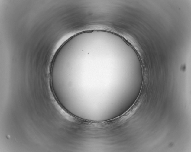 X0000090501438200708102231