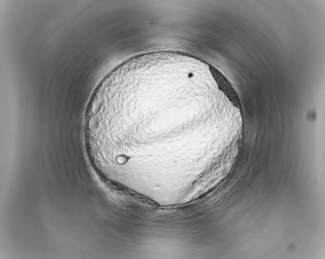 X0000090501439200708102231