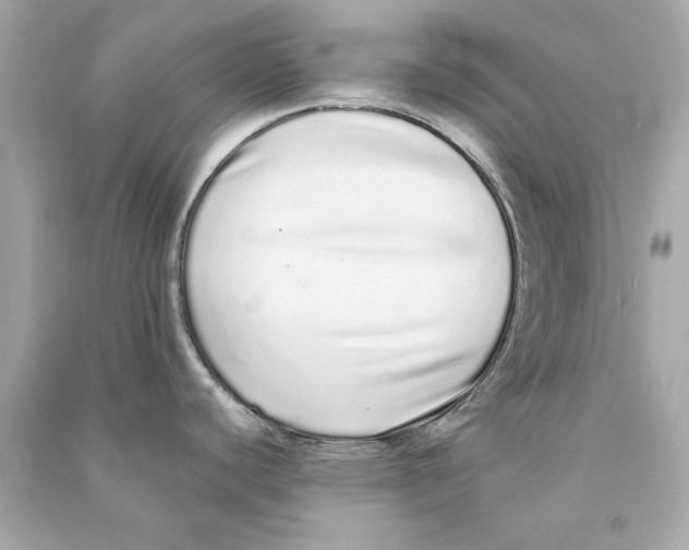 X0000090501440200708102231