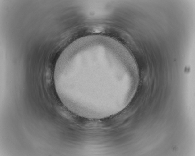 X0000090501442200708102230