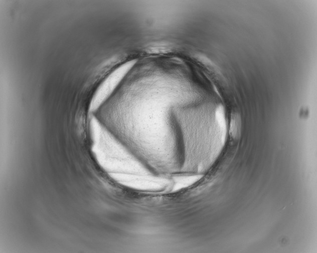 X0000090501444200708102230