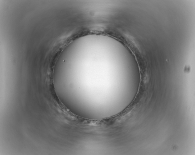 X0000090501445200708102230