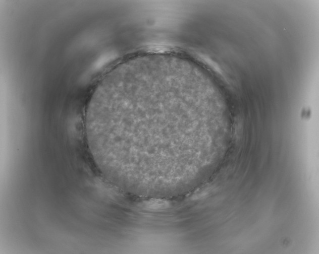 X0000090501446200708102230